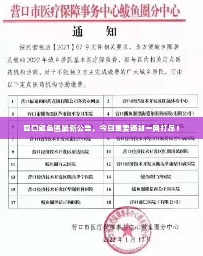 营口鲅鱼圈最新公告,今日重要通知一网打尽!