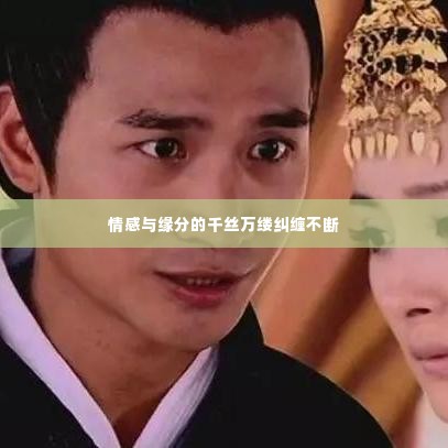 情感与缘分的千丝万缕纠缠不断