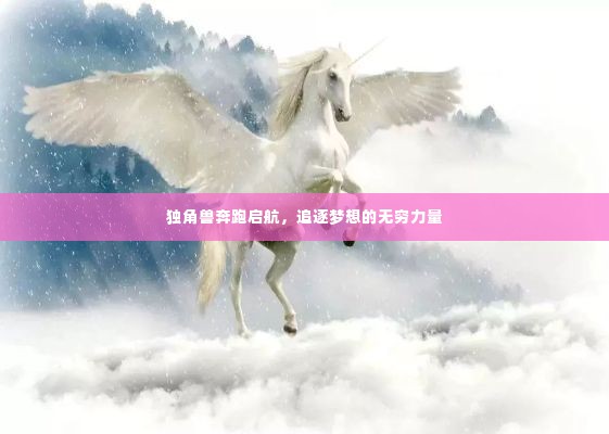 独角兽奔跑启航，追逐梦想的无穷力量