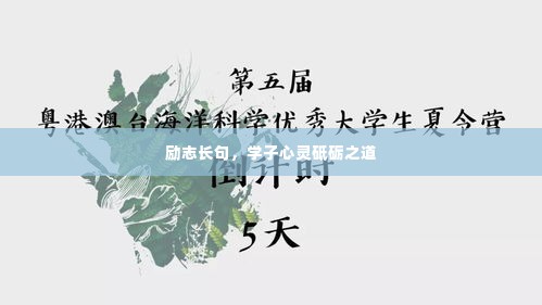 励志长句,学子心灵砥砺之道