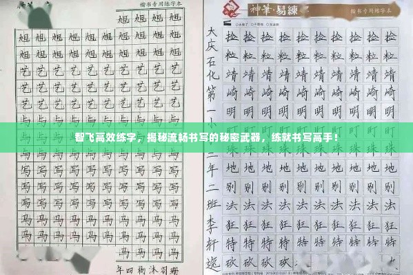 智飞高效练字,揭秘流畅书写的秘密武器,练就书写高手!
