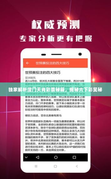 独家解析澳门天肖彩票秘籍，揭秘六下彩奥秘