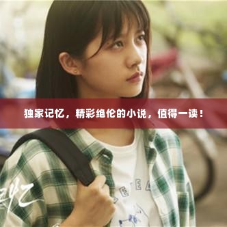 独家记忆,精彩绝伦的小说,值得一读!