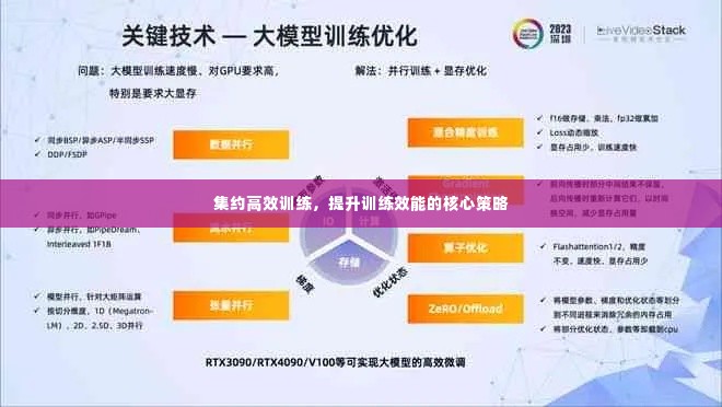 集约高效训练，提升训练效能的核心策略