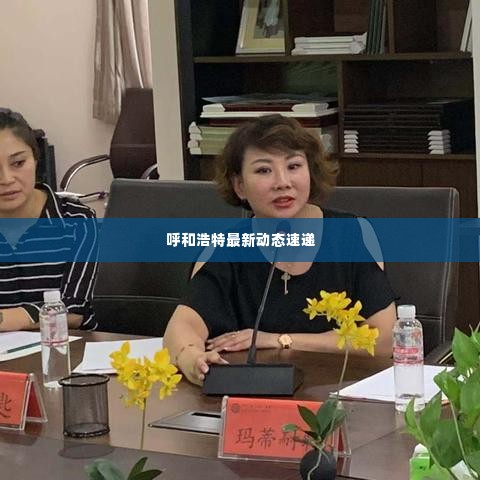 呼和浩特最新动态速递