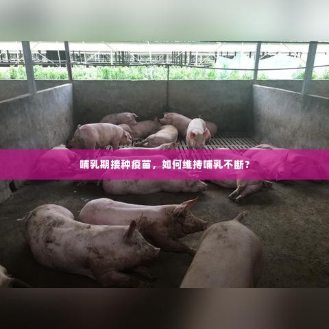 慌慌张张 第2页