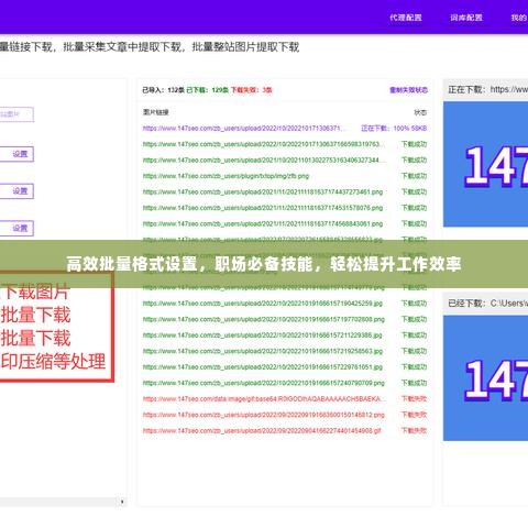 高效批量格式设置,职场必备技能,轻松提升工作效率