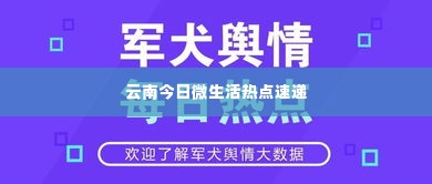 云南今日微生活热点速递