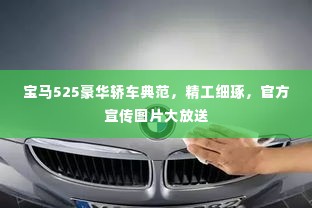 雍容华贵 第2页