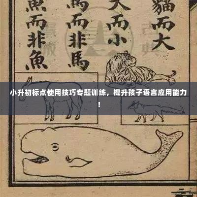 小升初标点使用技巧专题训练,提升孩子语言应用能力!
