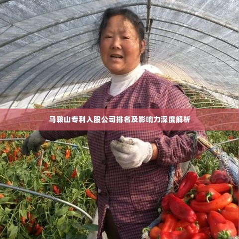 马鞍山专利入股公司排名及影响力深度解析