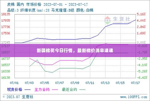 新疆棉花今日行情,最新棉价消息速递