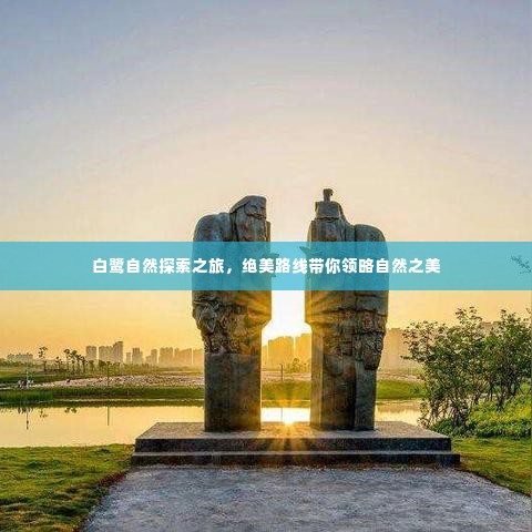 白鹭自然探索之旅，绝美路线带你领略自然之美