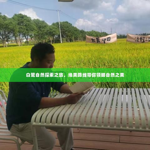 白鹭自然探索之旅,绝美路线带你领略自然之美