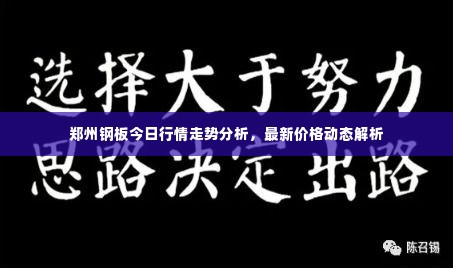郑州钢板今日行情走势分析,最新价格动态解析