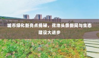 城市绿化新亮点揭秘,花池头条新闻与生态建设大进步