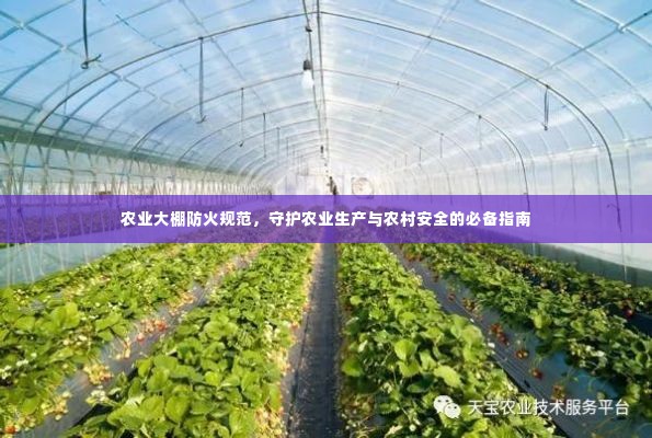 农业大棚防火规范,守护农业生产与农村安全的必备指南