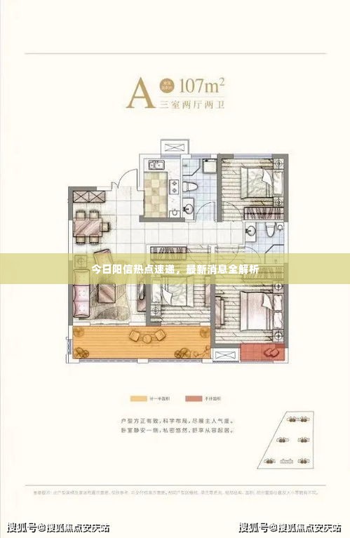 今日阳信热点速递,最新消息全解析