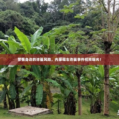 警惕身边的诈骗风险,内蒙租车诈骗事件视频曝光!