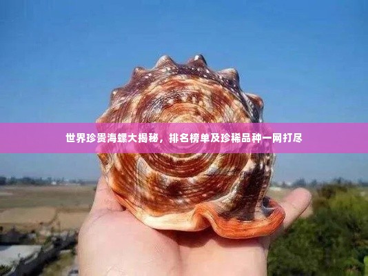世界珍贵海螺大揭秘,排名榜单及珍稀品种一网打尽