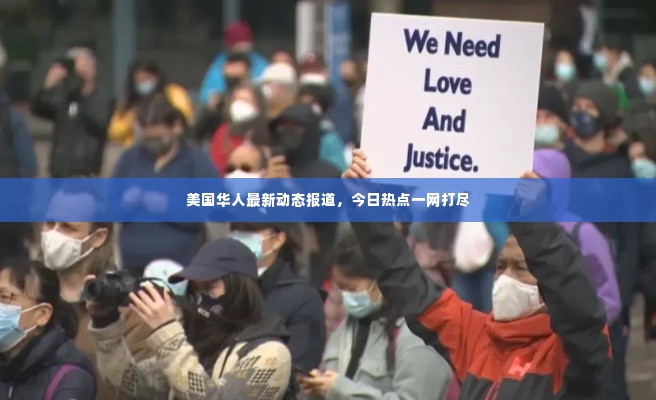 美国华人最新动态报道,今日热点一网打尽