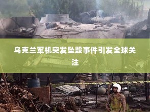 富贵有余 第2页