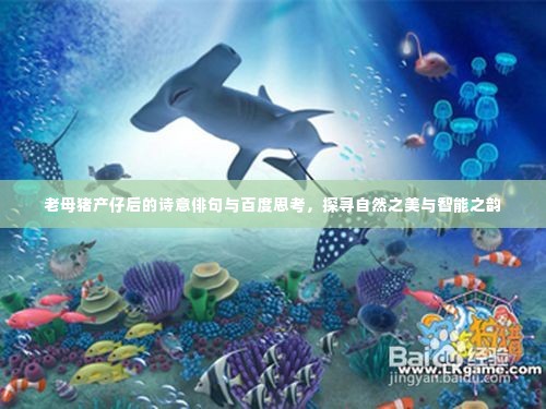 老母猪产仔后的诗意俳句与百度思考,探寻自然之美与智能之韵