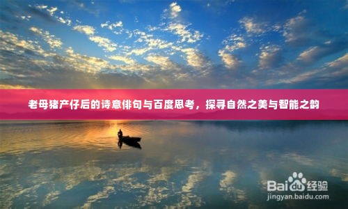 老母猪产仔后的诗意俳句与百度思考,探寻自然之美与智能之韵