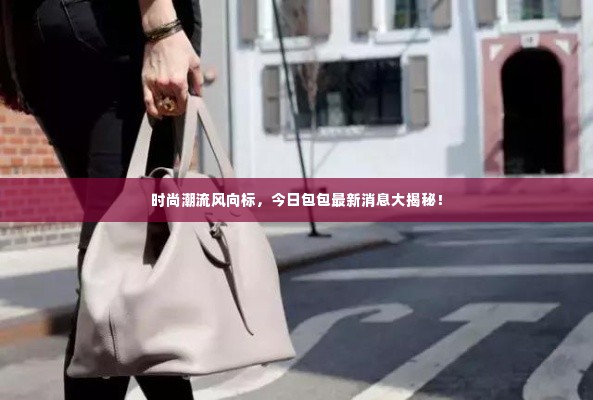 时尚潮流风向标，今日包包最新消息大揭秘！