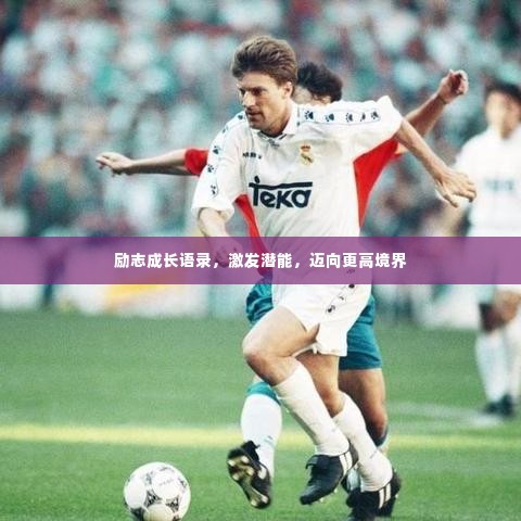 励志成长语录,激发潜能,迈向更高境界