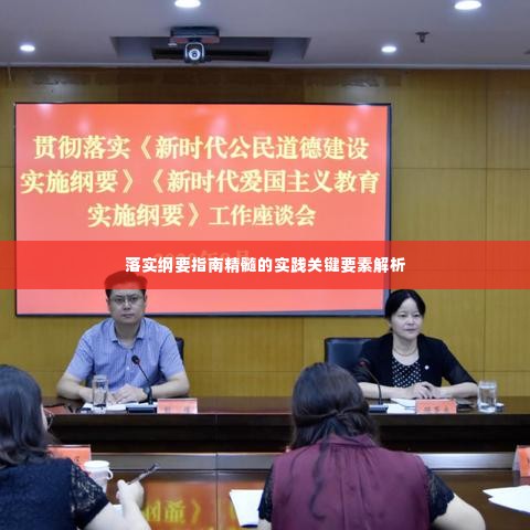 落实纲要指南精髓的实践关键要素解析