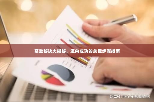 高效秘诀大揭秘,迈向成功的关键步骤指南