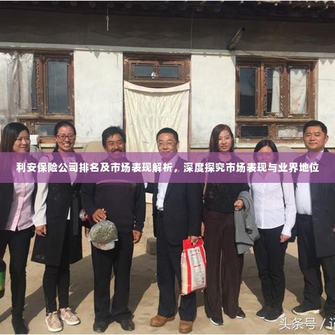 利安保险公司排名及市场表现解析,深度探究市场表现与业界地位