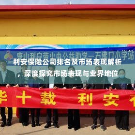 利安保险公司排名及市场表现解析,深度探究市场表现与业界地位