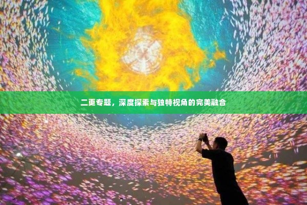 二更专题,深度探索与独特视角的完美融合