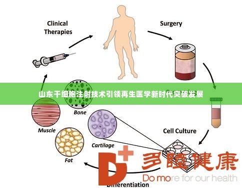 山东干细胞注射技术引领再生医学新时代突破发展
