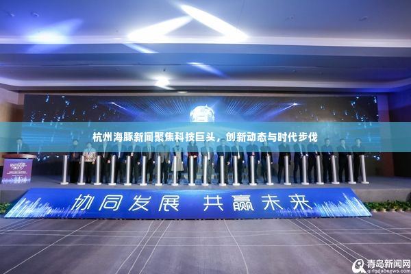 杭州海豚新闻聚焦科技巨头,创新动态与时代步伐