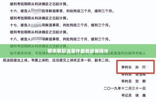 柳志敏起诉案件最新进展曝光