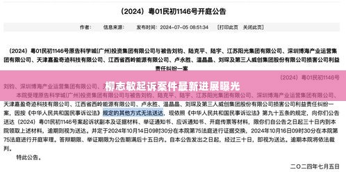 柳志敏起诉案件最新进展曝光