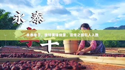 永泰李干,独特美味佳果,宣传之旅引人入胜