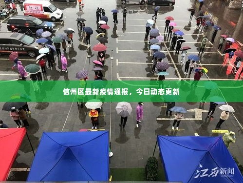 信州区最新疫情通报,今日动态更新