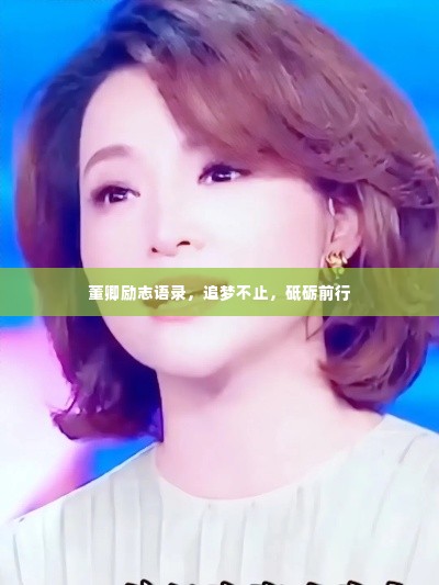 董卿励志语录,追梦不止,砥砺前行