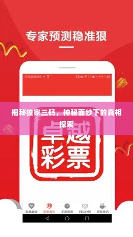 揭秘独家三码,神秘面纱下的真相探索