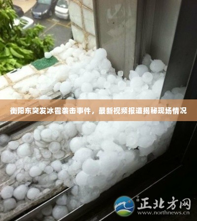 衡阳东突发冰雹袭击事件,最新视频报道揭秘现场情况
