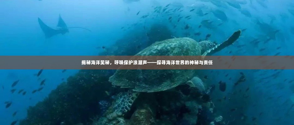 揭秘海洋奥秘，呼唤保护浪潮声——探寻海洋世界的神秘与责任