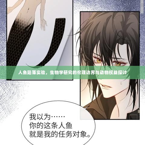 人鱼陷落实验,生物学研究的伦理边界与动物权益探讨
