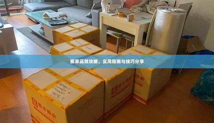 搬家高效攻略，实用指南与技巧分享