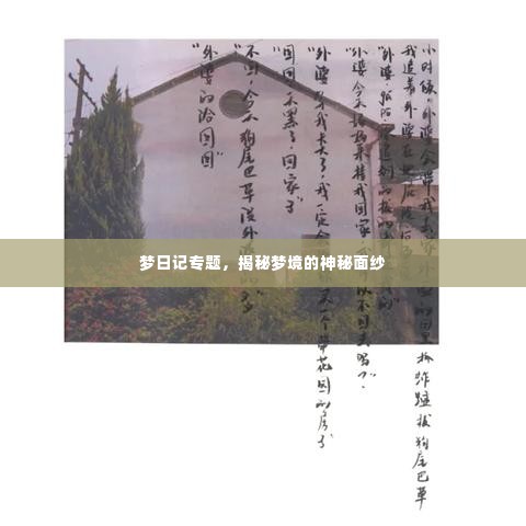 破马张飞 第2页