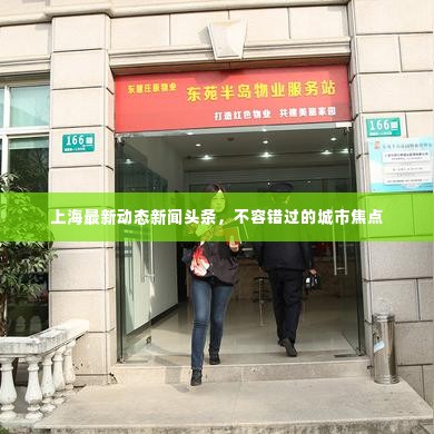 上海最新动态新闻头条，不容错过的城市焦点