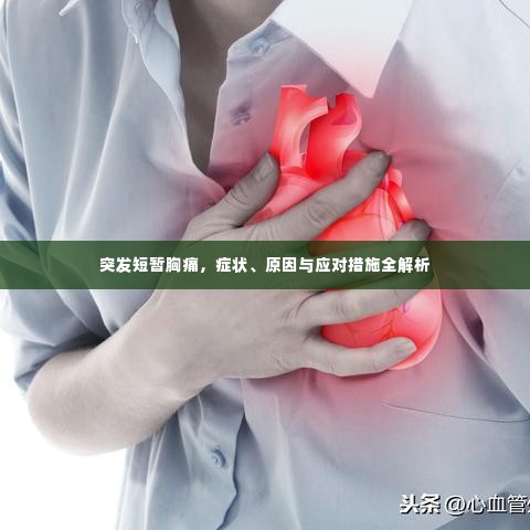 突发短暂胸痛,症状、原因与应对措施全解析